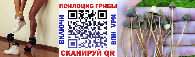 Псилоцибиновые грибы ЛСД Коряжма