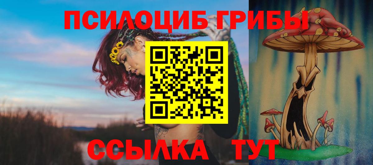 Галлюциногенные грибы мухоморы  Галлюциногенные грибы мухоморы  Вход с VPN  Коряжма 