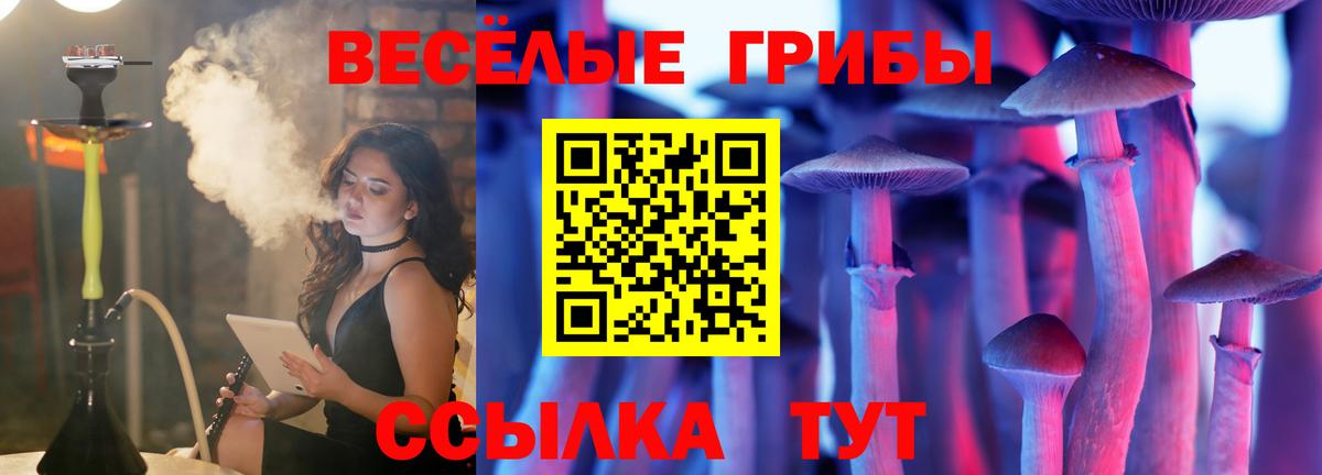 Галлюциногенные грибы прущие грибы Коряжма