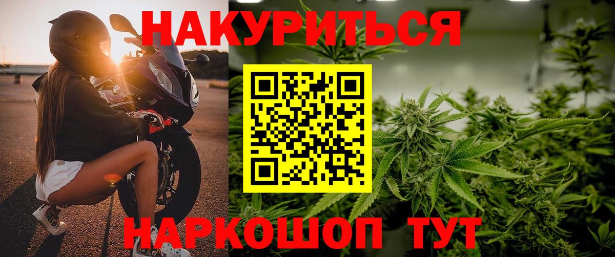 Бошки марихуана конопля Коряжма